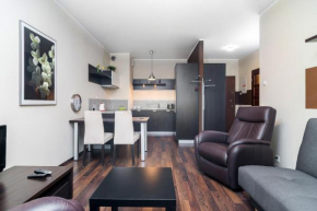 Apartments Platinum Inowrocławska by Renters